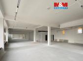 Pronájem obchodní prostor, 250 m²