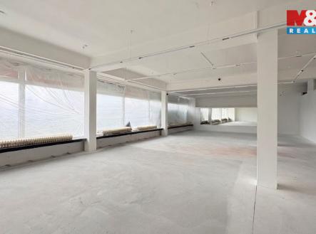 Pronájem obchodní prostor, 250 m²