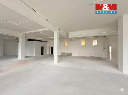 Pronájem obchodní prostor, 250 m²