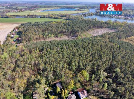 Prodej pozemku, les, 4 769 m²