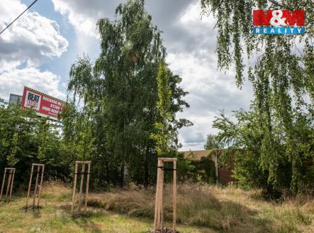 Pronájem pozemku, zahrada, 1 835 m²