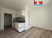 Pronájem bytu, 1+1, 42 m²