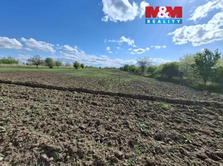 Prodej pozemku, zemědělská půda, 3 033 m²