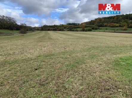 Prodej pozemku, zemědělská půda, 3 913 m²