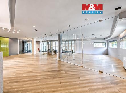 Pronájem kanceláře, 708 m²
