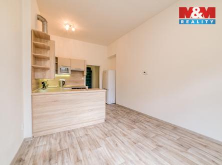 Pronájem bytu, 1+1, 48 m²