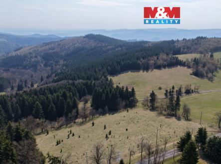 Prodej pozemku, les, 18 821 m²