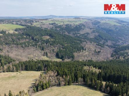 Prodej pozemku, les, 18 821 m²