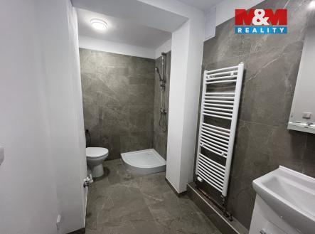 Pronájem bytu, 1+kk, 72 m²