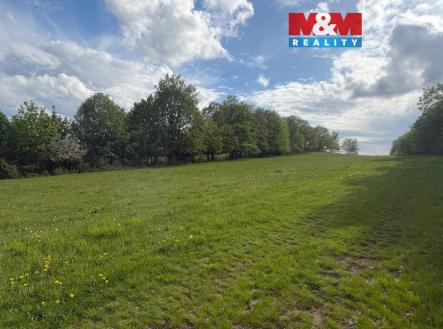 Prodej pozemku, trvalý travní porost, 41 016 m²