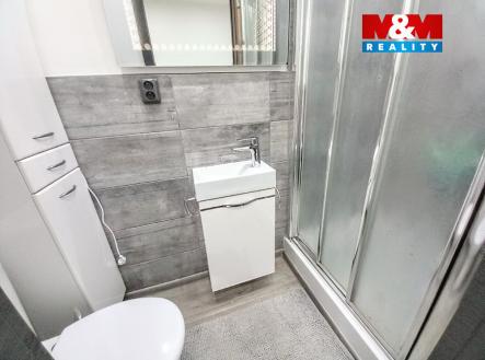 Pronájem bytu, 1+1, 28 m²