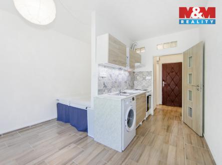 Pronájem bytu, 1+kk, 20 m²