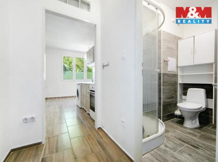 Pronájem bytu, 1+kk, 20 m²