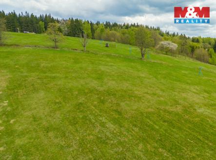 Prodej pozemku, trvalý travní porost, 13 478 m²