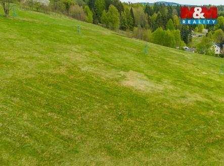 Prodej pozemku, trvalý travní porost, 13 478 m²