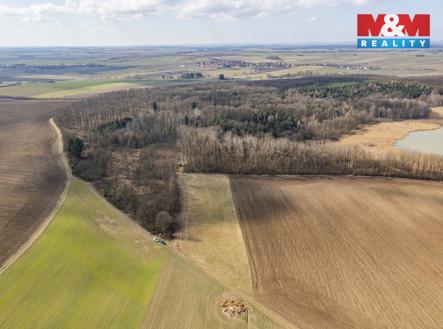 Prodej pozemku, les, 11 971 m²