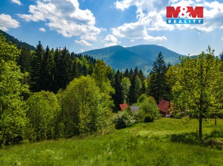 Prodej pozemku pro bydlení, 3 902 m²