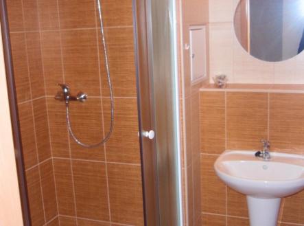 Pronájem bytu, 1+kk, 31 m²