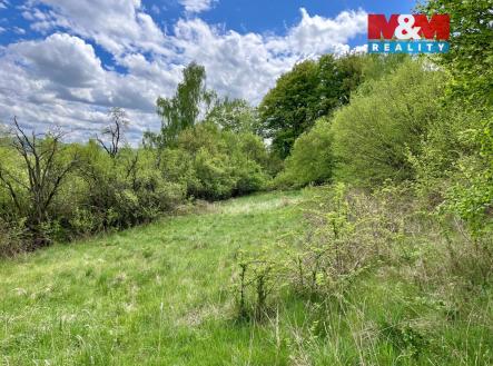 Prodej pozemku, trvalý travní porost, 4 450 m²