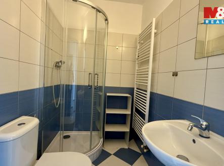 Pronájem bytu, 1+kk, 20 m²