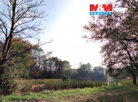 Prodej pozemku, trvalý travní porost, 7 011 m²