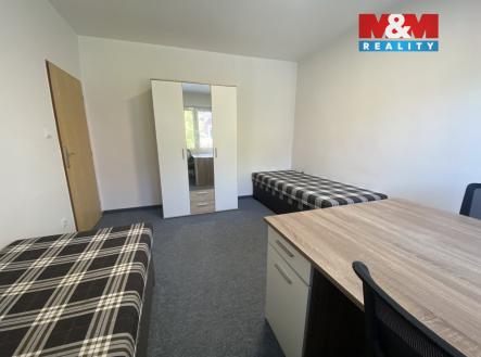 Pronájem bytu, 1+kk, 250 m²
