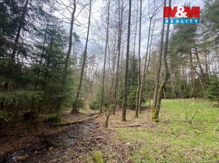 Prodej pozemku, les, 5 958 m²