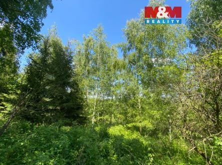 Prodej pozemku, les, 15 167 m²