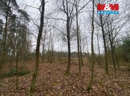 Prodej pozemku, les, 6 627 m²