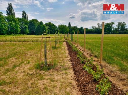 Prodej pozemku, zahrada, 1 000 m²