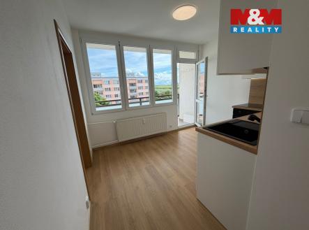 Pronájem bytu, 1+1, 36 m²