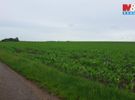 Prodej pozemku, zemědělská půda, 30 161 m²