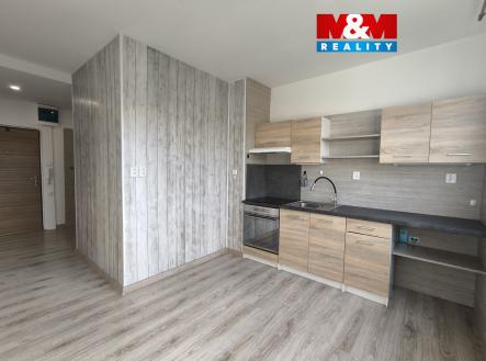 Pronájem bytu, 1+1, 41 m²