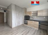 Pronájem bytu, 1+1, 41 m²