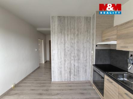 Pronájem bytu, 1+1, 41 m²