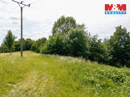 Prodej pozemku, trvalý travní porost, 13 358 m²