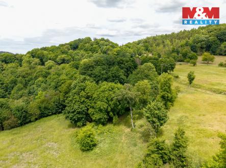 Prodej pozemku, trvalý travní porost, 13 358 m²