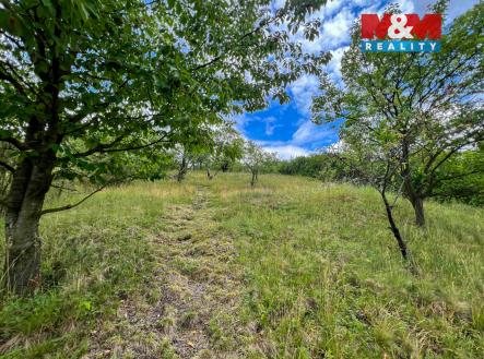 Prodej chaty/rekreačního objektu, 40 m²