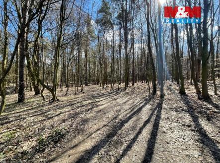 Prodej pozemku pro bydlení, 960 m²