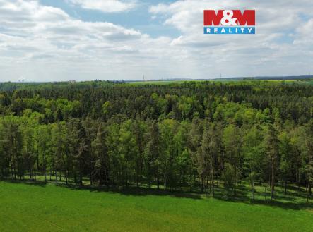 Prodej pozemku, les, 79 857 m²