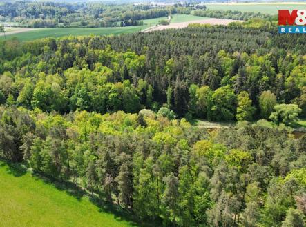 Prodej pozemku, les, 79 857 m²