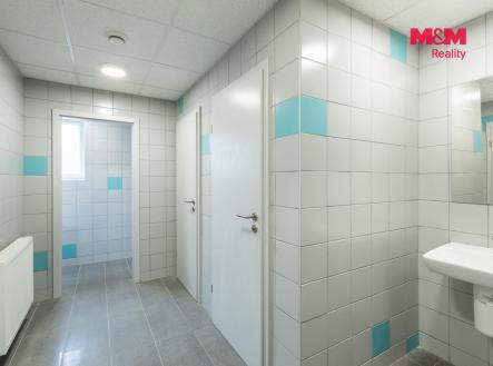 Pronájem obchodní prostory, 210 m²