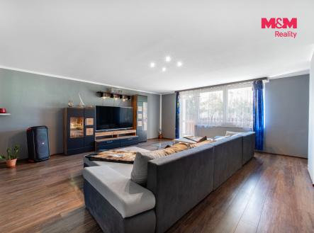 Prodej domu/vily, 300 m²