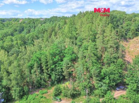 Prodej pozemku, les, 32 996 m²