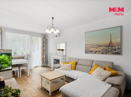 Prodej bytu, 3+1, 60 m²