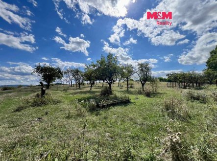 Prodej ovocného sadu, 5926 m², Hostišová
