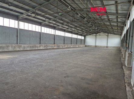 Pronájem skladu, 940 m², Osík