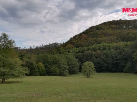 Prodej pozemku, les, 3 765 m²