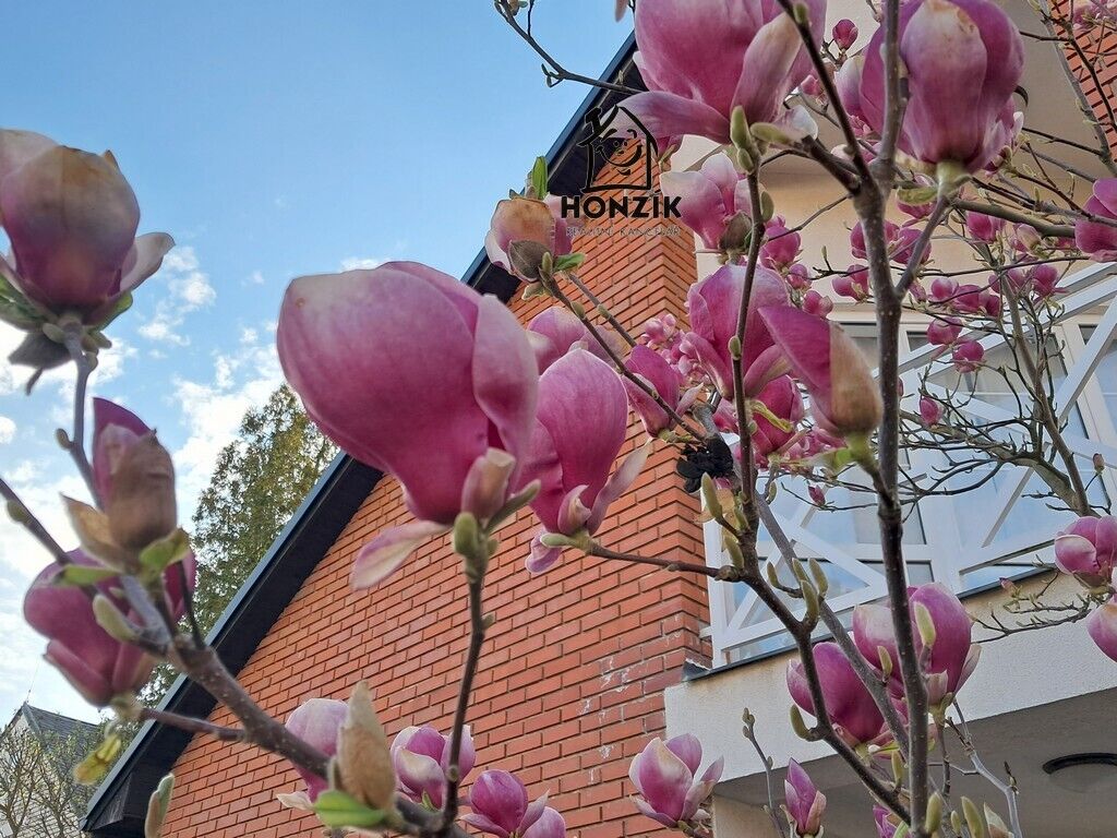 RD 6+1/2xB, G, terasa, UP 324 m2, pozemek 877 m2, Praha 10 Uhříněves