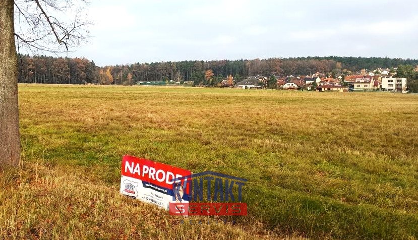 IMG_20251107_091046900